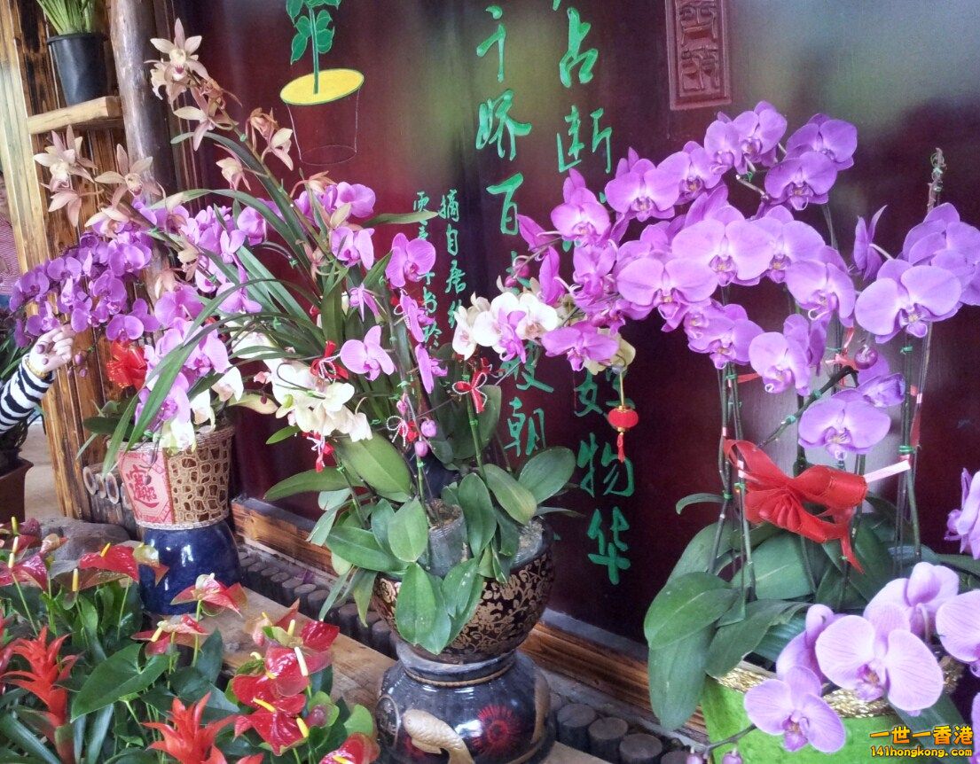 2013-02-25 00 30 52.jpg