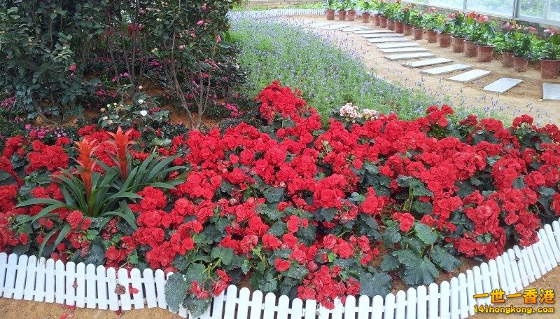 2013-02-25 00 32 20.jpg