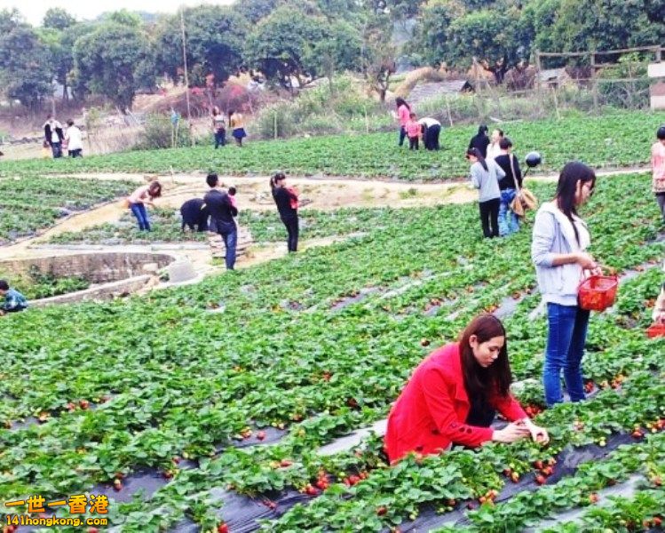 2013-02-25 00 37 16.jpg