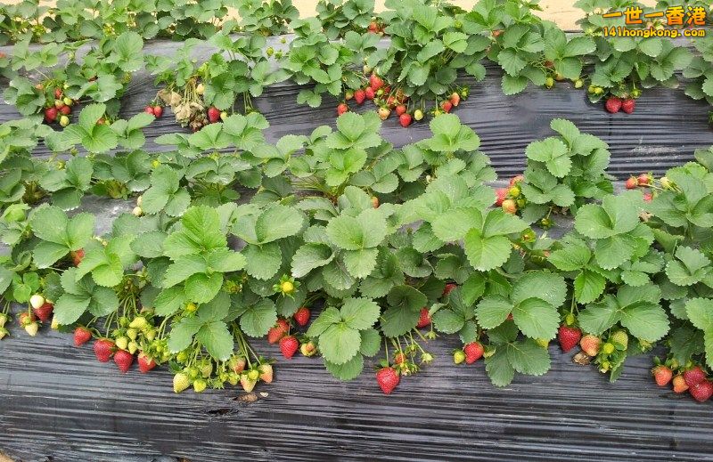 2013-02-25 00 40 37.jpg