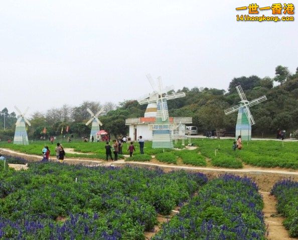 2013-02-25 00 42 19.jpg