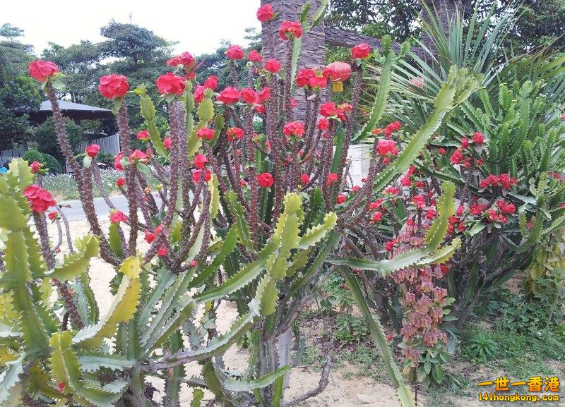 2013-02-25 00 45 10.jpg