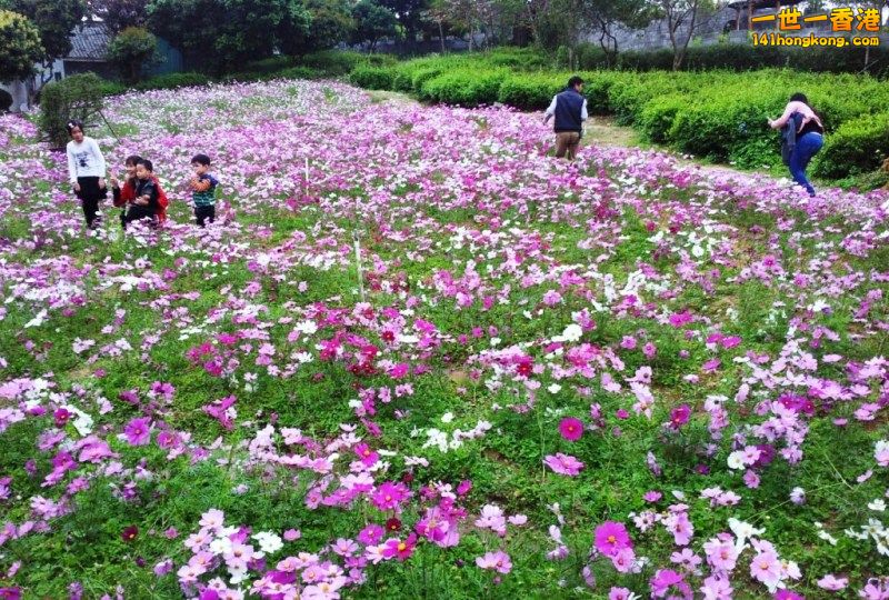 2013-02-25 00 53 16.jpg