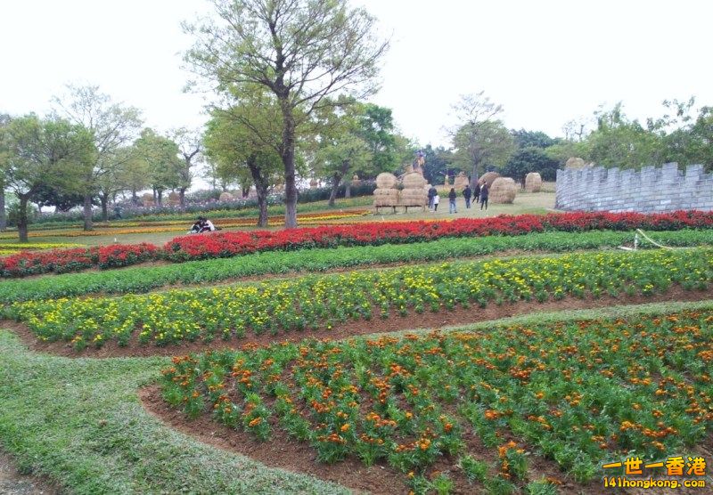 2013-02-25 17 27 17.jpg