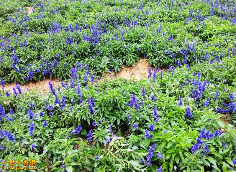 2013-02-25 17 30 28.jpg