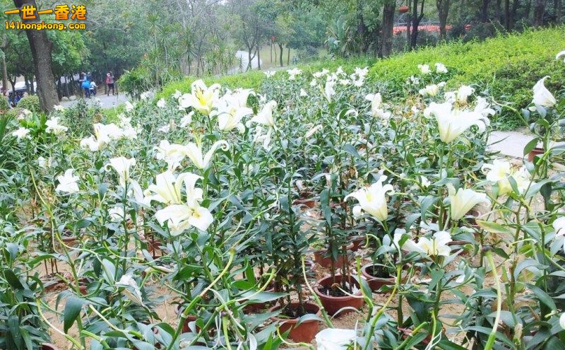 2013-02-25 17 41 51.jpg