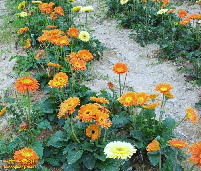 2013-02-25 17 42 33.jpg