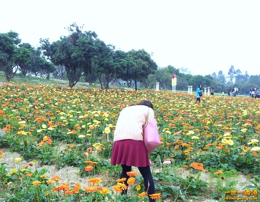 2013-02-25 17 54 13.jpg