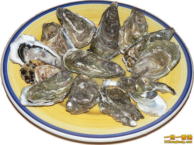 Oysters.jpg