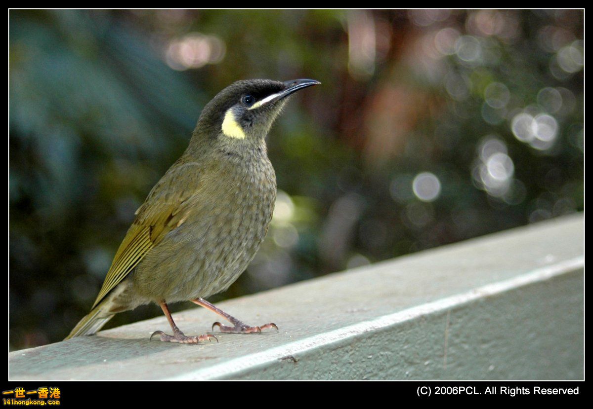 DSC_0306.JPG