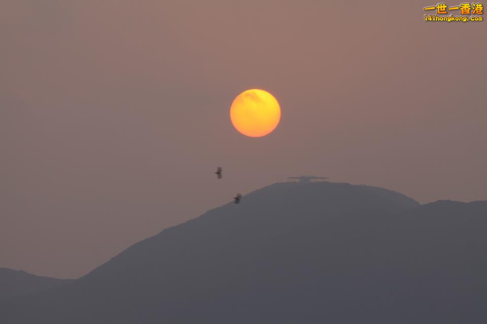雙飛日出.jpg
