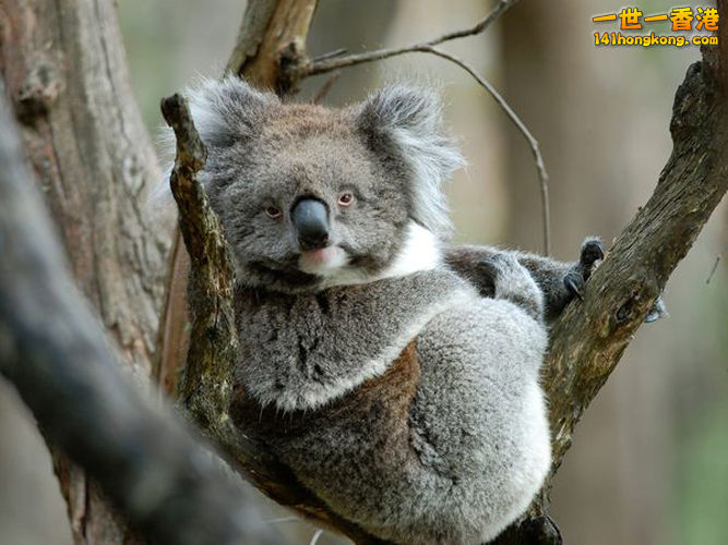 爬得累就休息一會