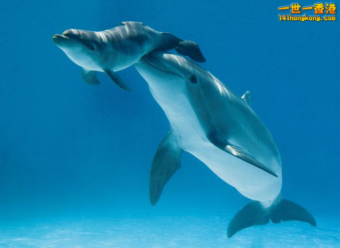 頂孩子上去換氣