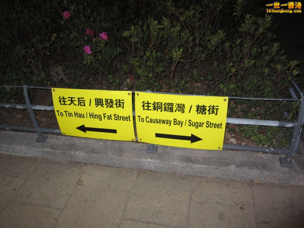 IMG_5737_conew1.jpg