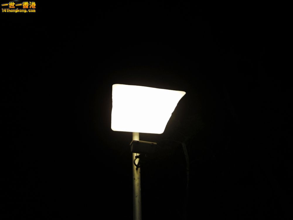 IMG_5738_conew1.jpg