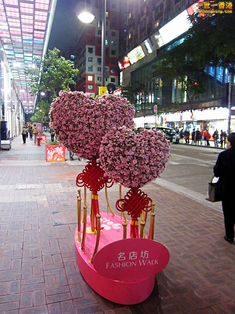 IMG_5770_conew1.jpg