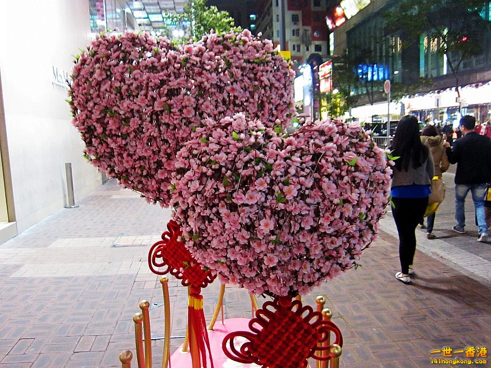 IMG_5771_conew1.jpg
