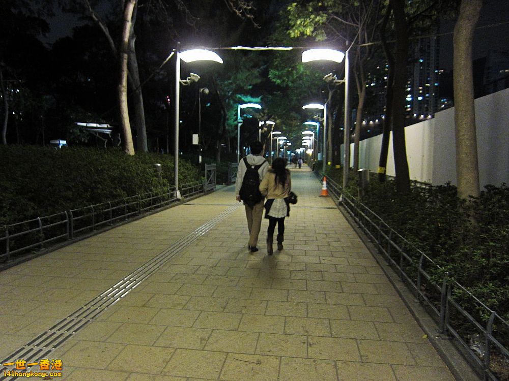 IMG_5810_conew1.jpg