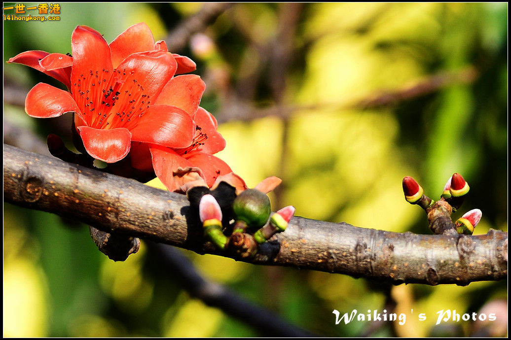 DSC_0119.jpg