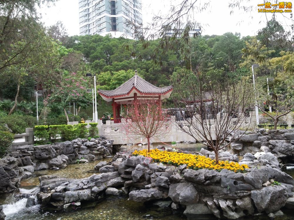 20130209_153534_conew1.jpg