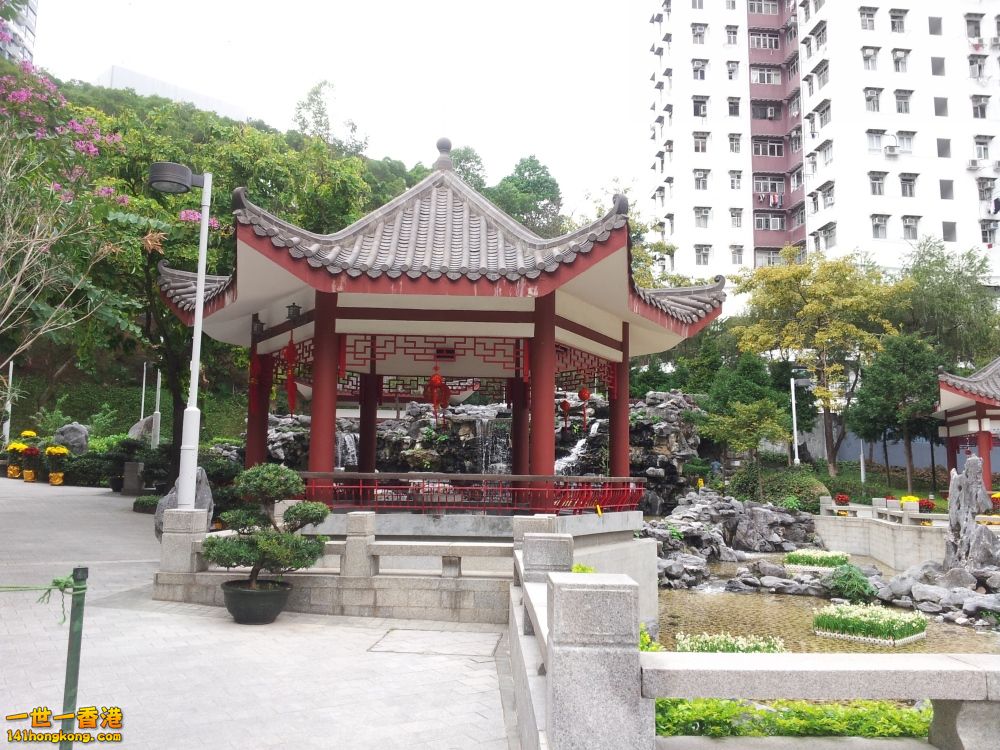 20130209_153738_conew1.jpg