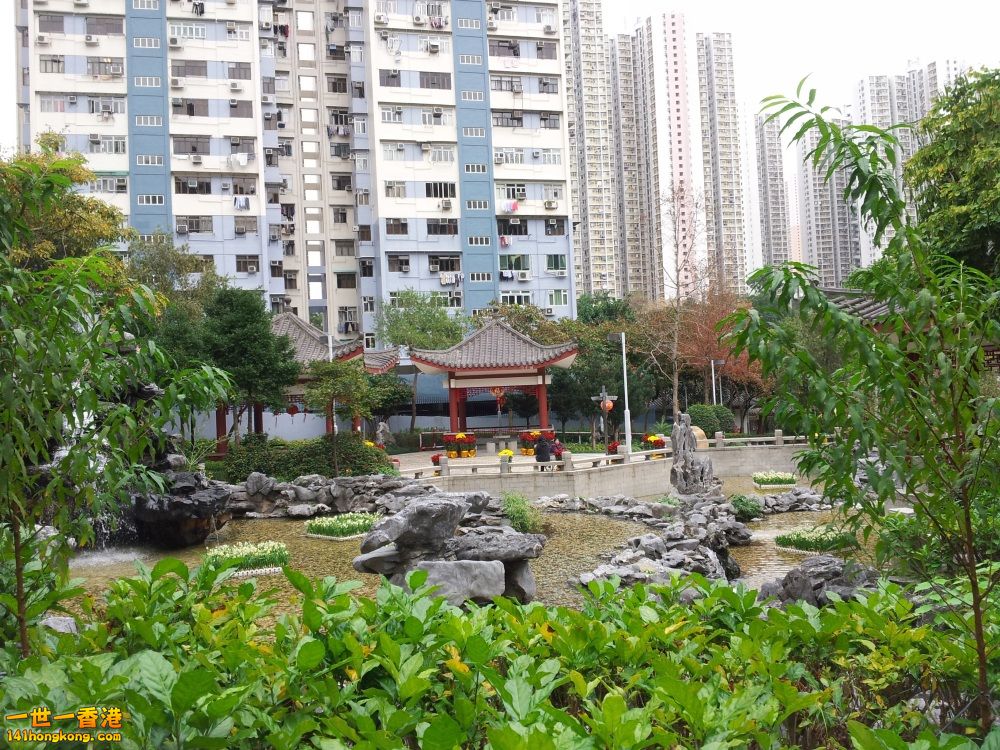20130209_154158_conew1.jpg