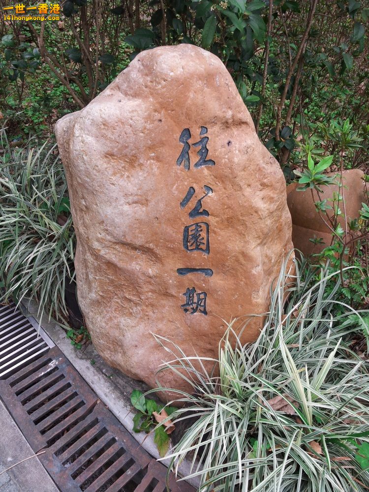 20130209_154229_conew1.jpg