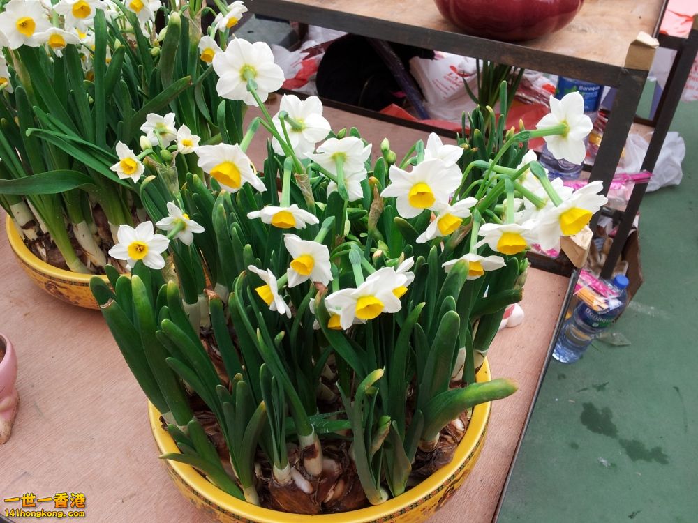 20130209_160033_conew1.jpg