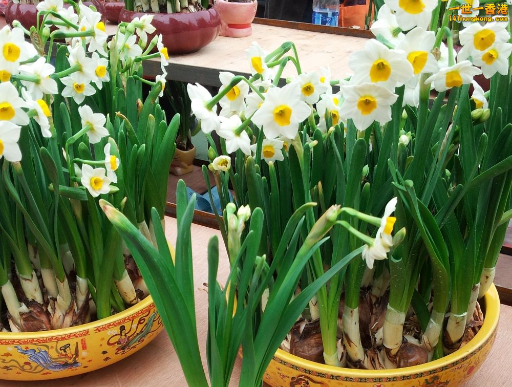 20130209_160046_conew1.jpg