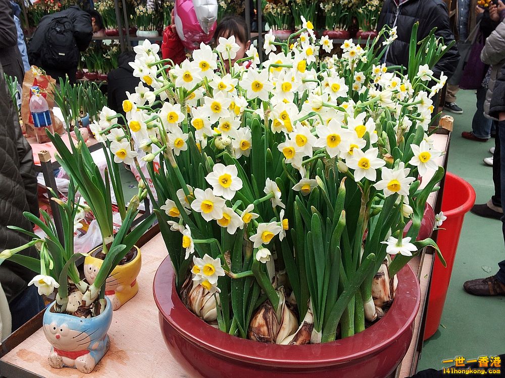 20130209_160109_conew1.jpg