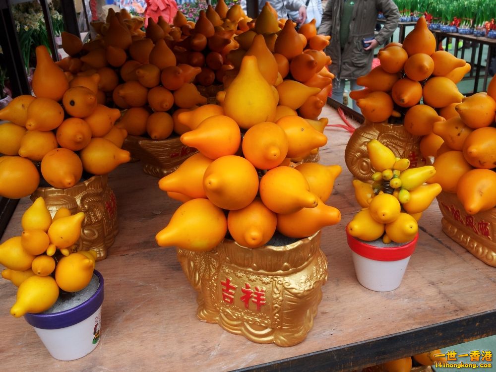 20130209_160154_conew1.jpg