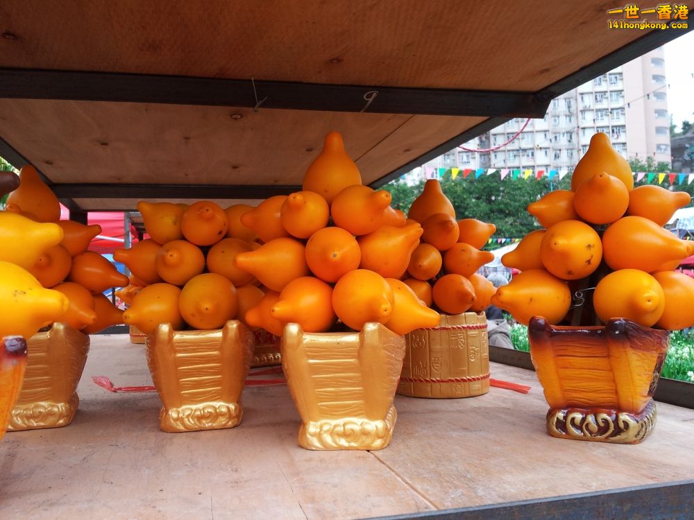 20130209_160200_conew1.jpg