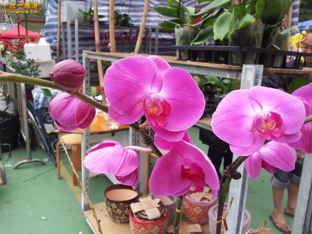 20130209_161449_conew1.jpg