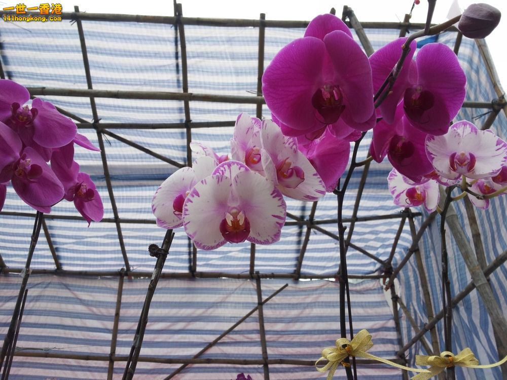 20130209_161635_conew1.jpg