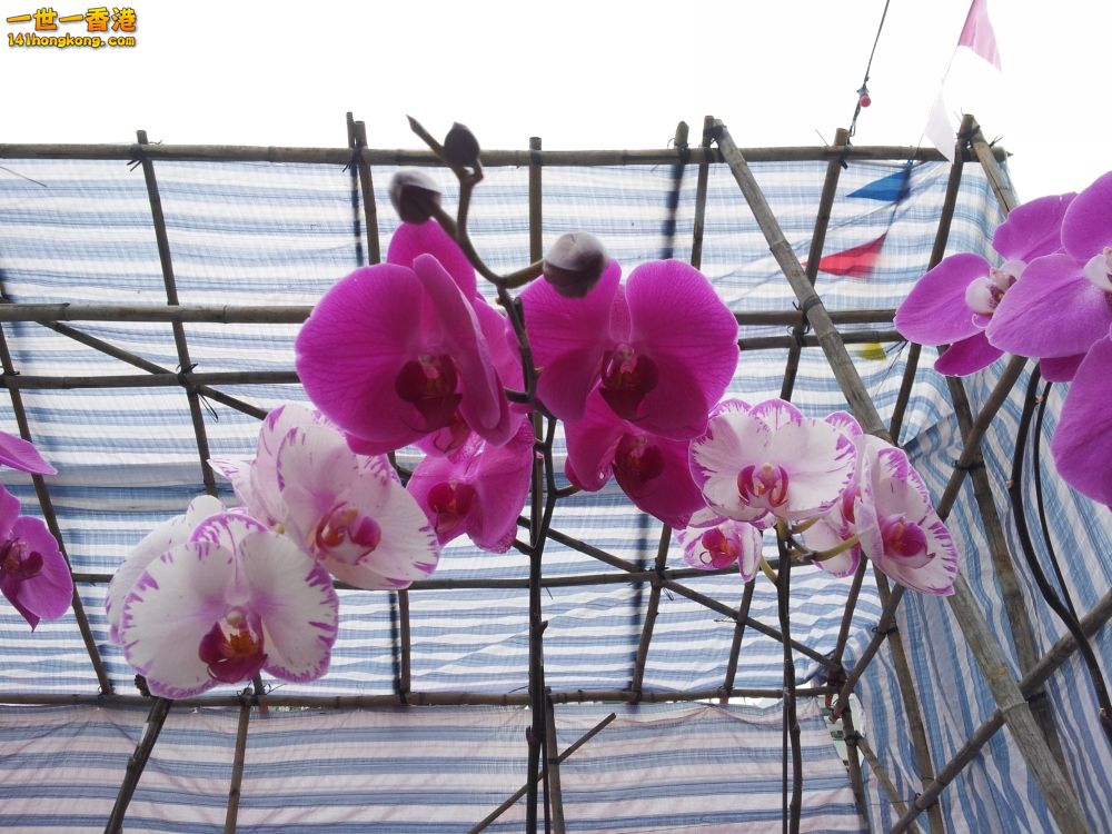 20130209_161643_conew1.jpg