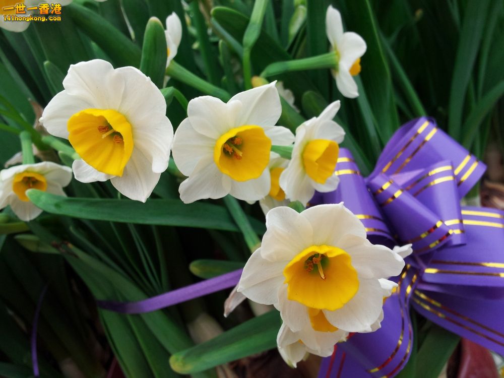 20130209_161807_conew1.jpg