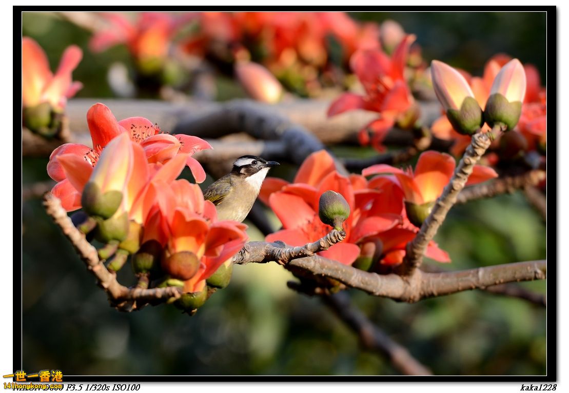 nEO_IMG_DSC_1592A.jpg