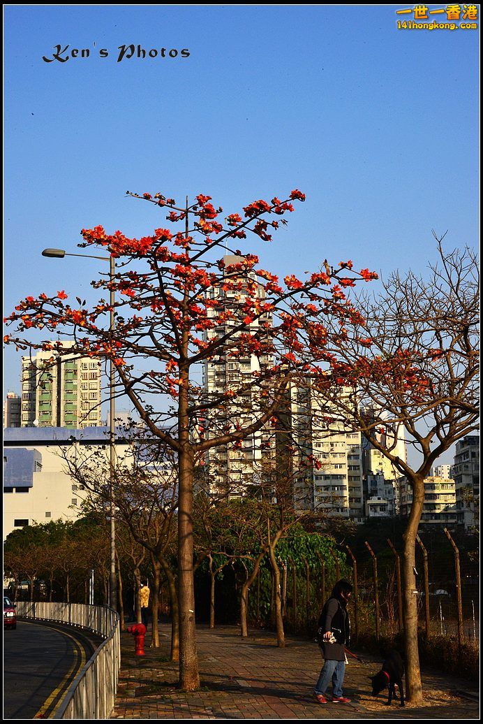 DSC_2030.jpg