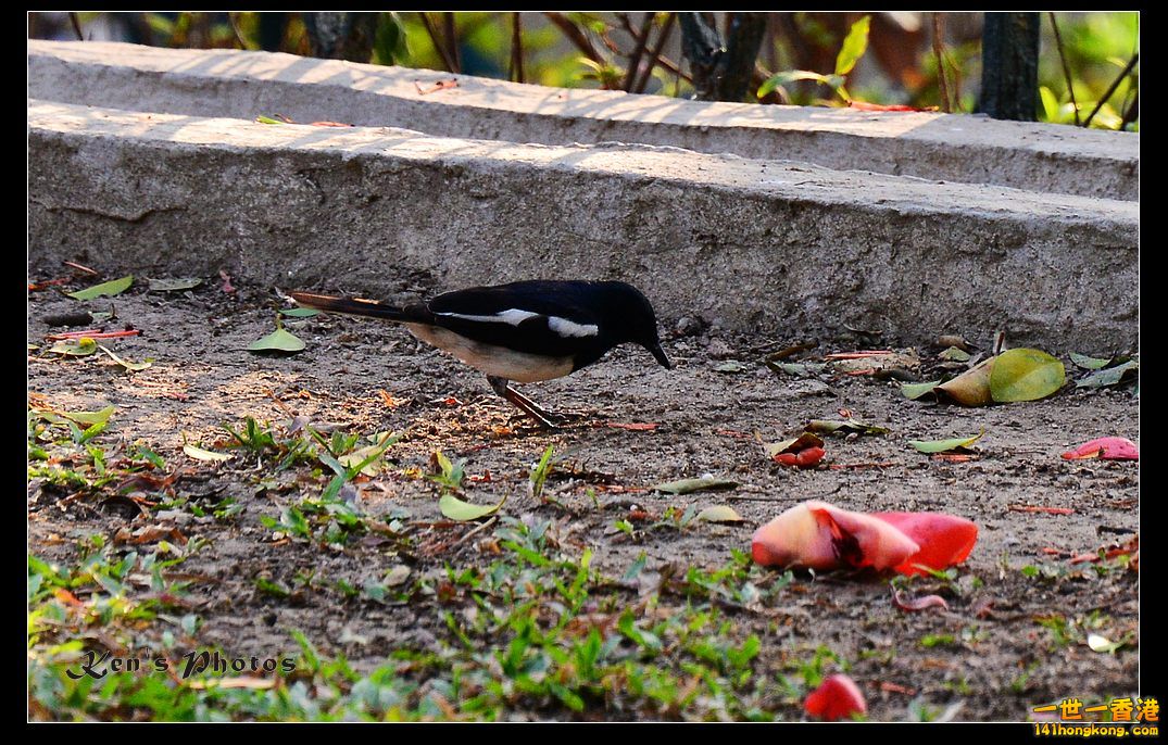 DSC_2041.jpg