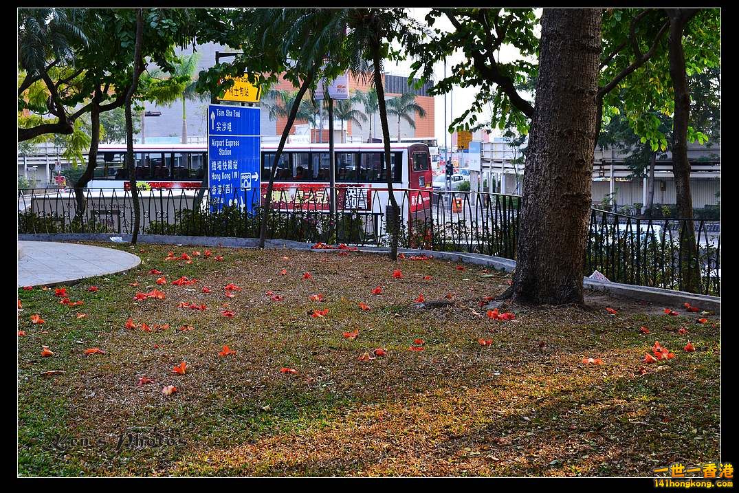DSC_2042.jpg