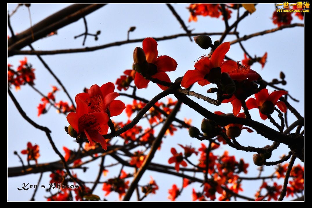 DSC_2047.jpg
