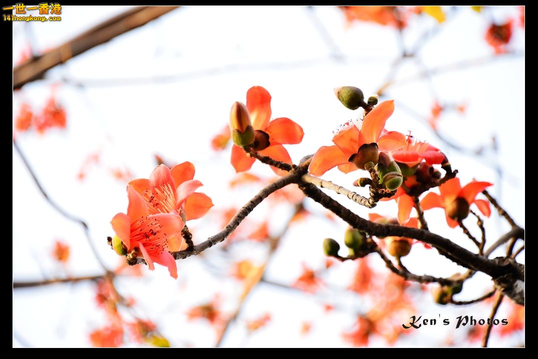 DSC_2048.jpg