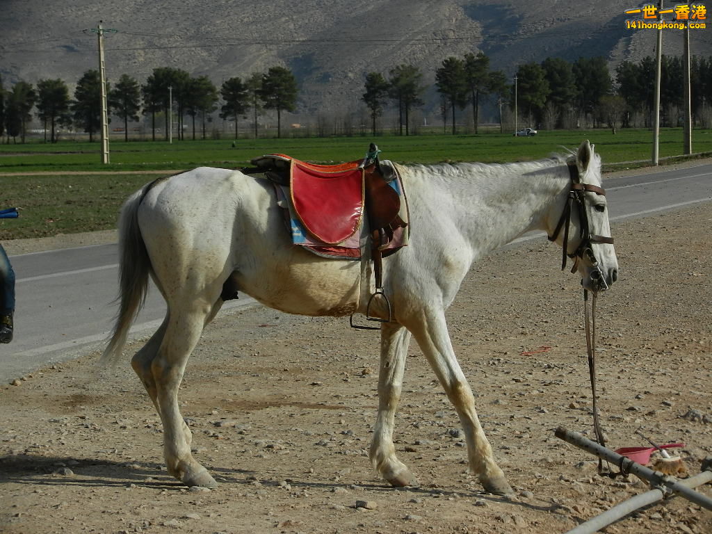 DSCN3228.JPG