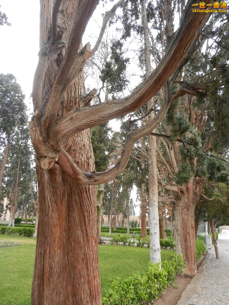 DSCN1709.JPG