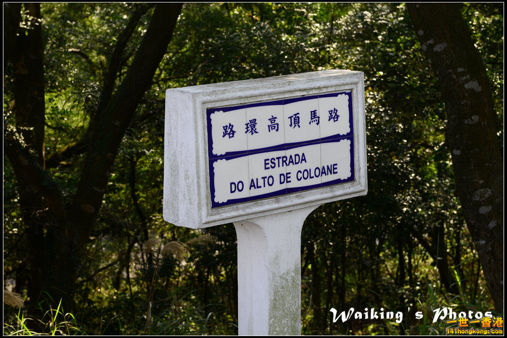 DSC_0545.jpg
