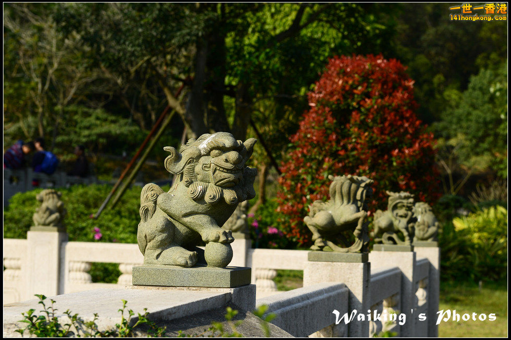 DSC_0607.jpg