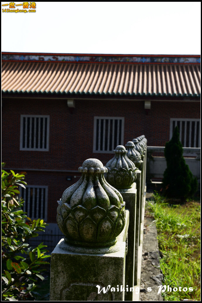 DSC_0561.jpg