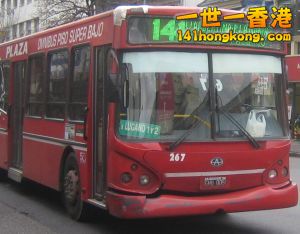 city bus 141.jpg