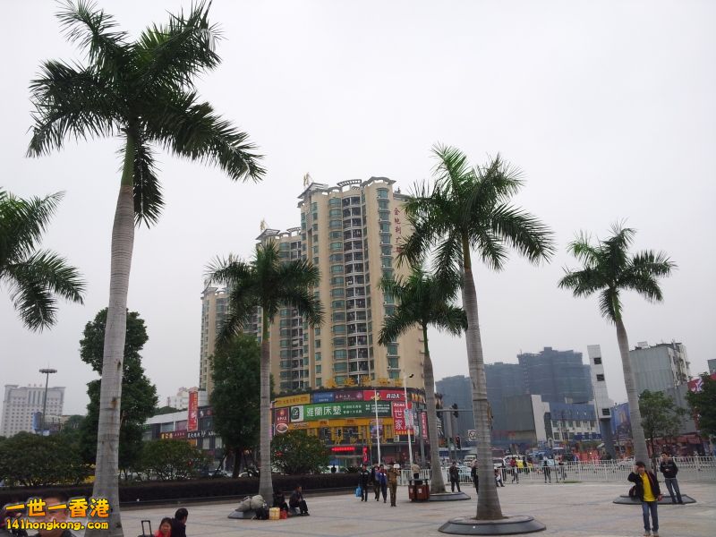 20121201_145055.jpg
