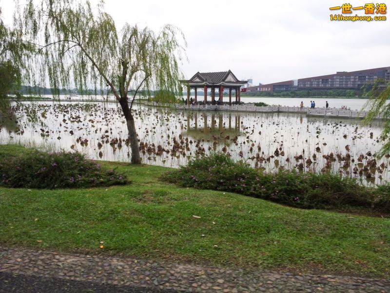 20121202_134420.jpg